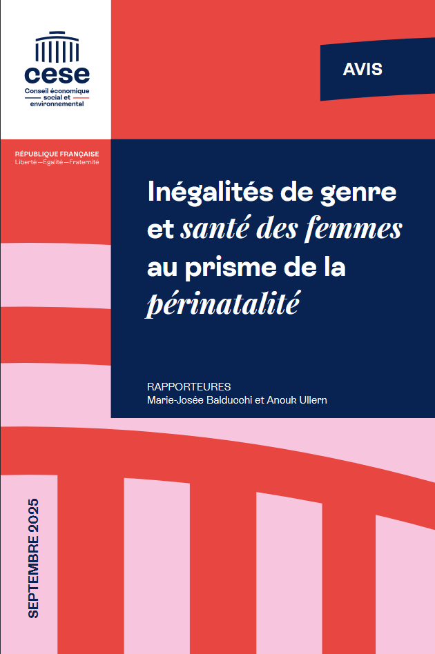Inégalité de genre et santé des femmes au prisme de la périnatalité