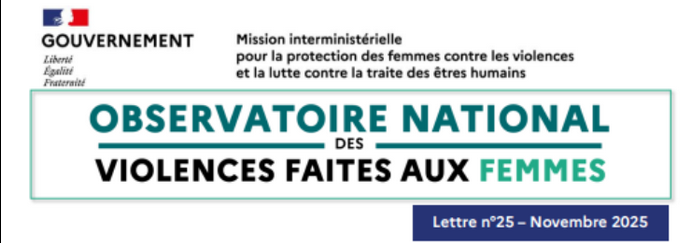 Les violences sexistes et sexuelles en France en 2024